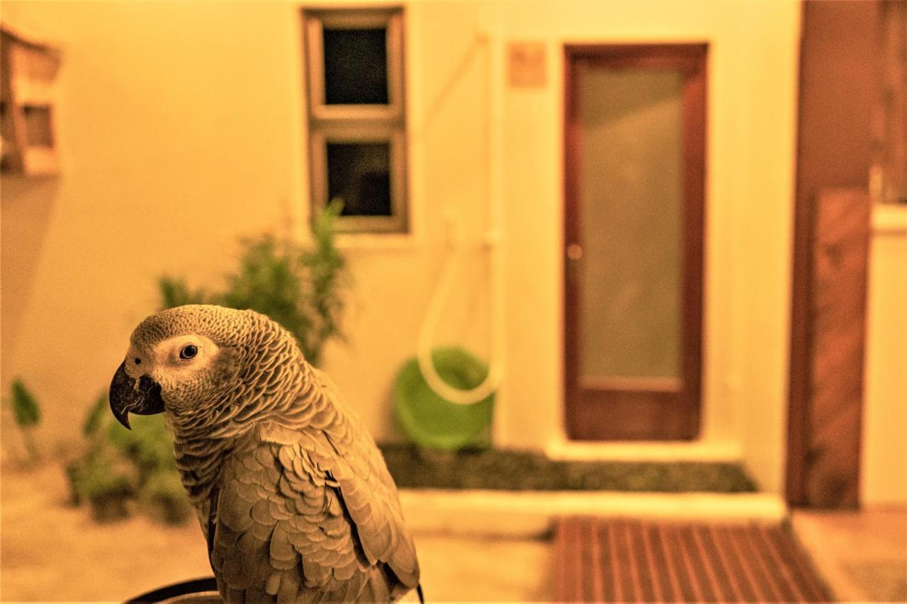 Nala Island Village 3*