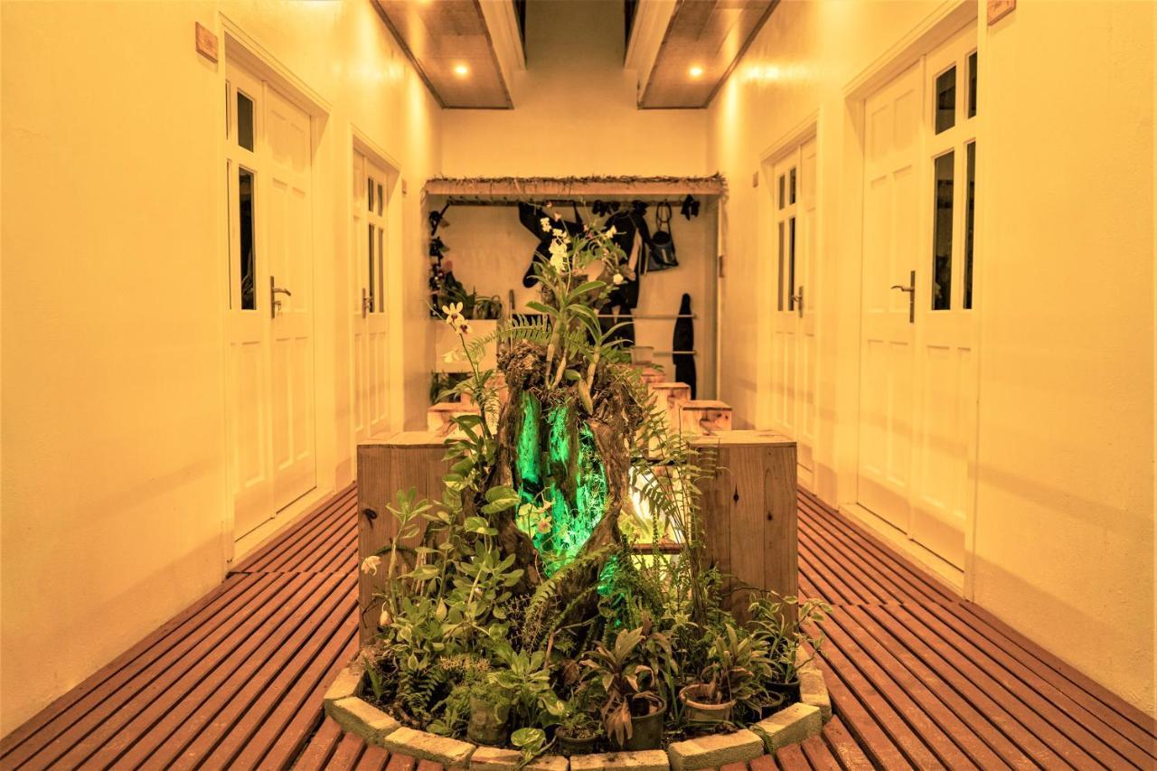 Nala Island Village Hotel Maafushi